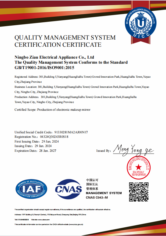 ISO 9001